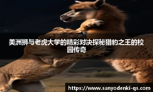 美洲狮与老虎大学的精彩对决探秘猎豹之王的校园传奇